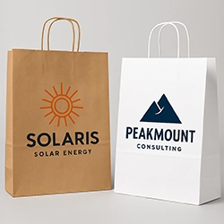 Sacs papier personnalisés kraft boutique poignées plates ou torsadées